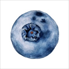 Hand-drawn berry watercolor for postcards, posters and wedding printing on a white background