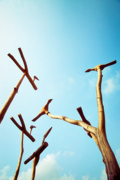 Sotdae is a tree built to celebrate.