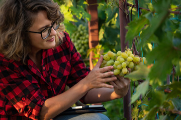 Woman farmer with tablet in vineyard. Smart farming and digital agriculture