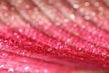 Close up water drop with beautiful bokeh abstract background