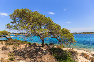 Beautiful summer seascape view of coast at Sithonia on Halkidiki Greece