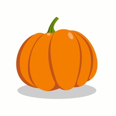 orange pumpkin on white background