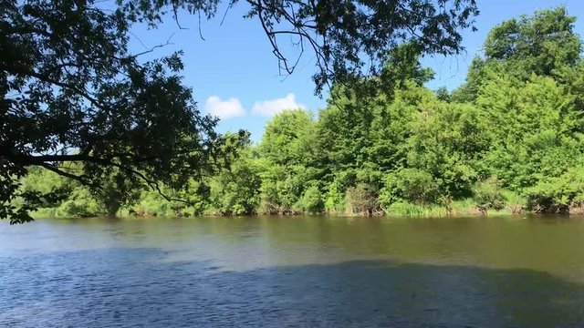 Zhizdra River in the forest in the Optina Hermitage. River noise in a summer sunny day