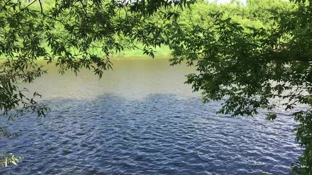Zhizdra River in the forest in the Optina Hermitage. River noise in a summer sunny day
