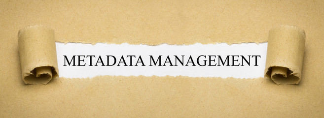 Metadata Management