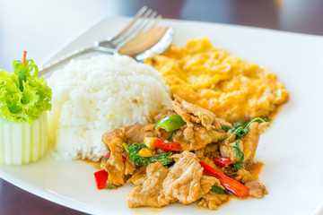 Stir Fried Pork with Omelet popular delicious Thai food