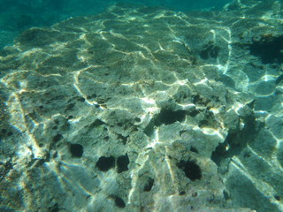 Fototapeta premium Under water