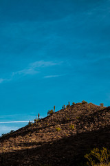 Trail peak and vegetation in the Sonoran Preserve at sunrise