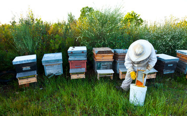 Beekeeping or apiculture, Garciaz, Las Villuercas, Caceres, Extremadura, Spain, Europe