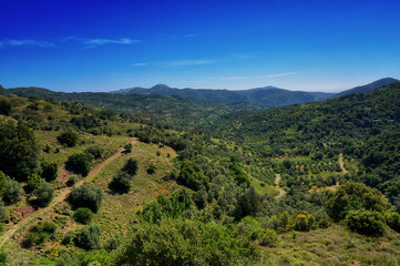 Obraz premium Olivenhaine in den Bergen von Kreta