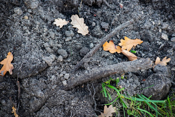 A pile of dark ground with green grass