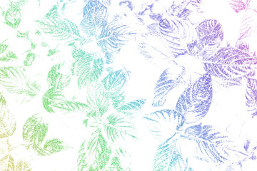 leaves in vibrant gradient with a pastel colored on white background. Concept art.