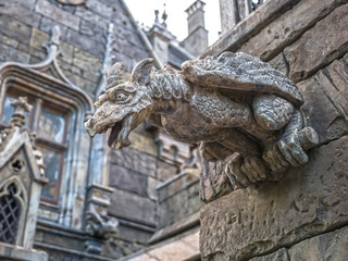 Fototapeta na wymiar Terrible gargoyle on the facade of a medieval castle