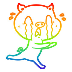 rainbow gradient line drawing crying pig cartoon