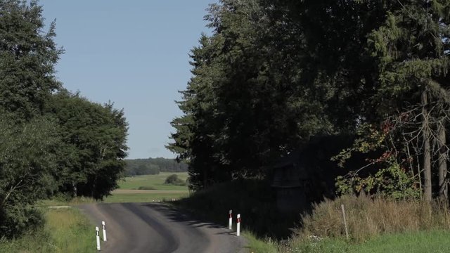 Asphalt country road in Zemaitija National Park, Samogitia region of Lithuania
