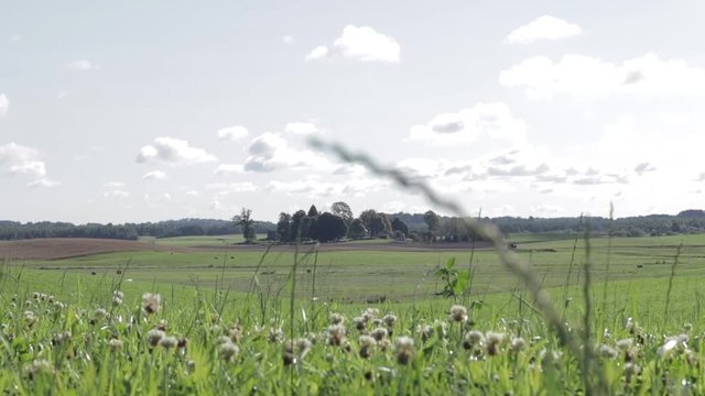Idyllic landscape of a European farm lands in the hilly valley of Samogitia, Lithuania