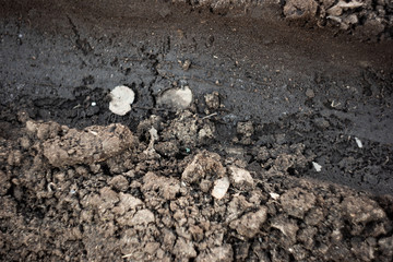 Dirty road with clods of soil
