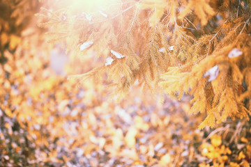 End of summer season in the park