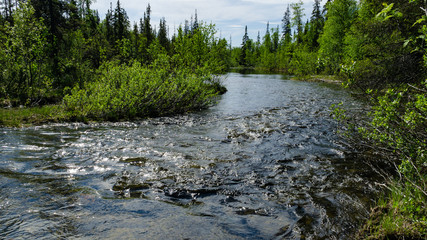 Rocky river in the northern highland taiga