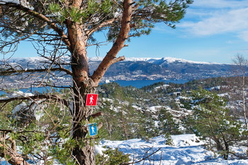 Fototapeta premium signs of hiking trails in winter forest mountains in Norway