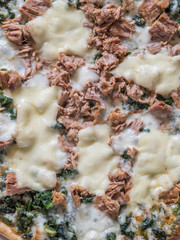 Pizza of tuna and spinach texture