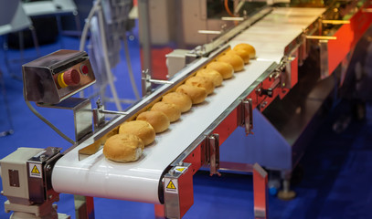 Buns on conveyor from bun making machine in bakery factory