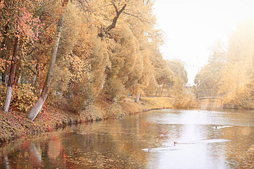 Autumn rain in the park