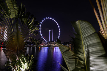 Singapore night life