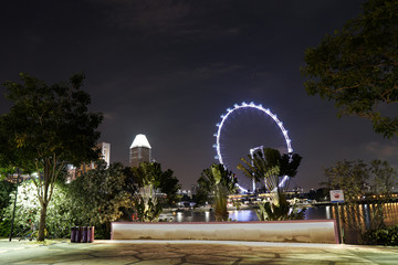 Singapore night life