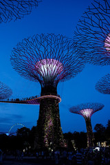 Singapore night life