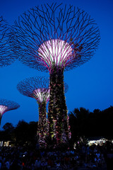 Singapore night life