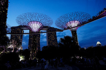 Singapore night life