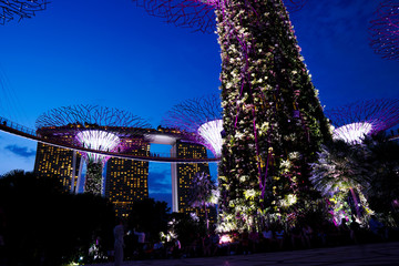Singapore night life