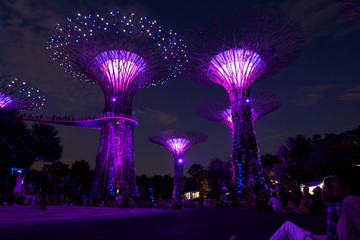 Singapore night life