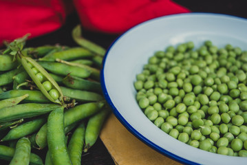 Organic green pea in a tin plate