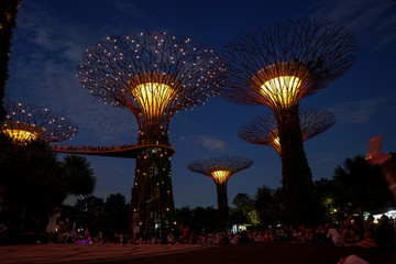 Singapore night life
