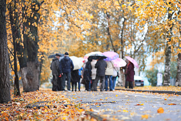 Autumn rain in the park