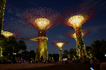 Singapore night life