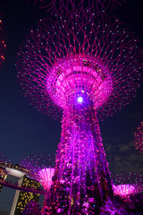 Singapore night life