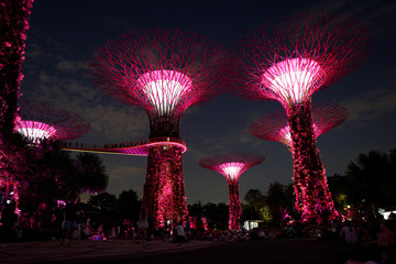 Singapore night life
