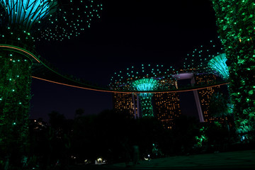 Singapore night life