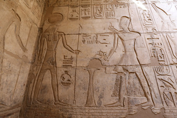 Fototapeta na wymiar Egyptian hieroglyphs in Mortuary Temple of Seti I, Luxor, Egypt