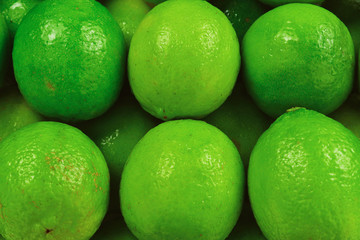 Many fresh limes on white background.