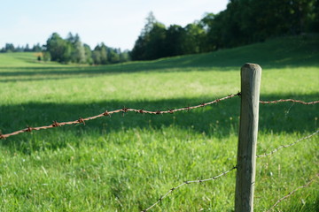 A barbed wire protects the game from walkers in Bavaria