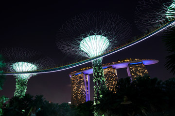 Singapore night life