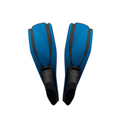 Fins for diving isolated on white background for your creativity