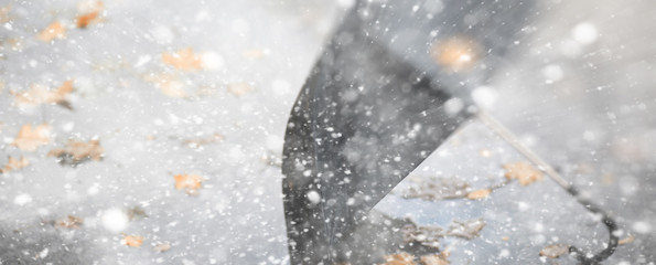 Background autumn park in the first snow