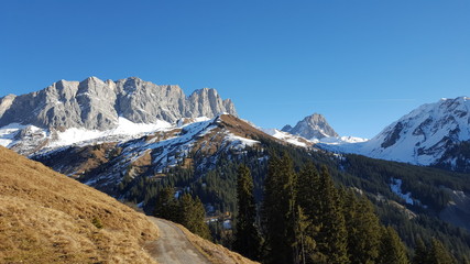 Fototapeta na wymiar Schweizerland Alps.