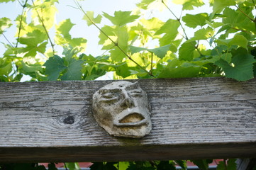 progressing climate change, Mimik,Schmerzen,pain,Mask;Maske,face,Gesicht