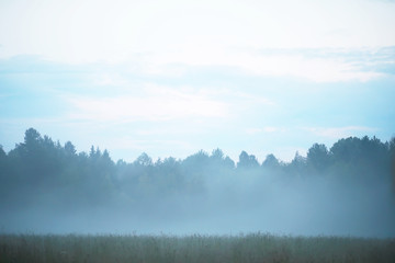 Obraz na płótnie Canvas Fog in the field. Evening nature summer with white fog.